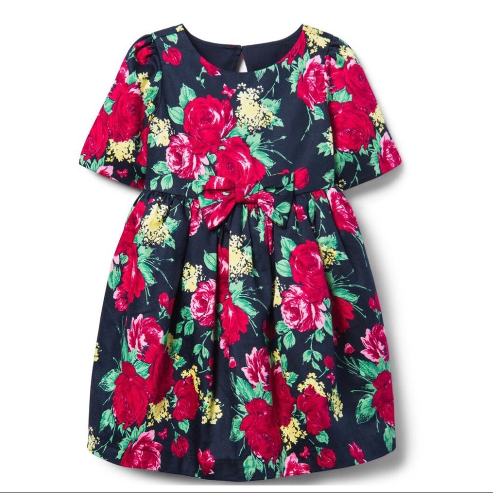 Janie and Jack Baby Girl Floral Dress